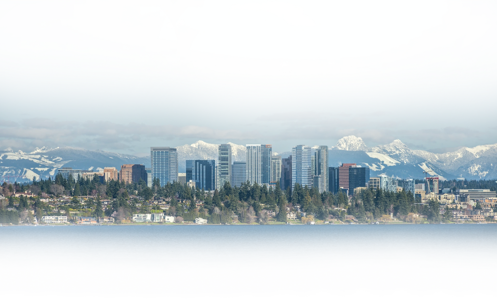 scetion-block-bg-img