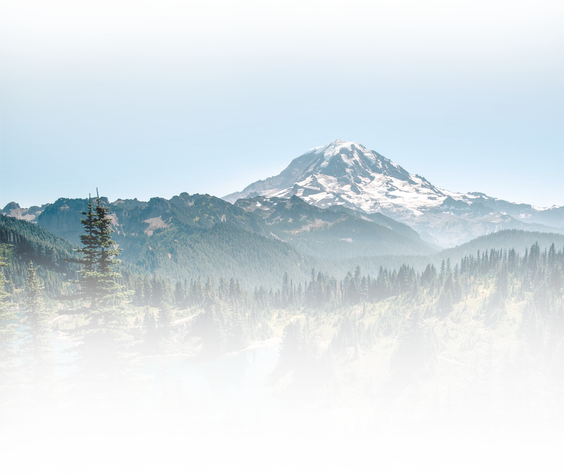 recent-graduates-img